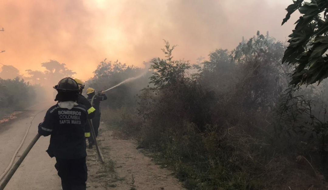 Incendios provocados.