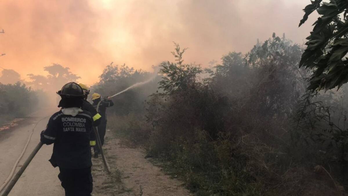 Pirómanos que provoquen incendios serán sancionados en Santa Marta