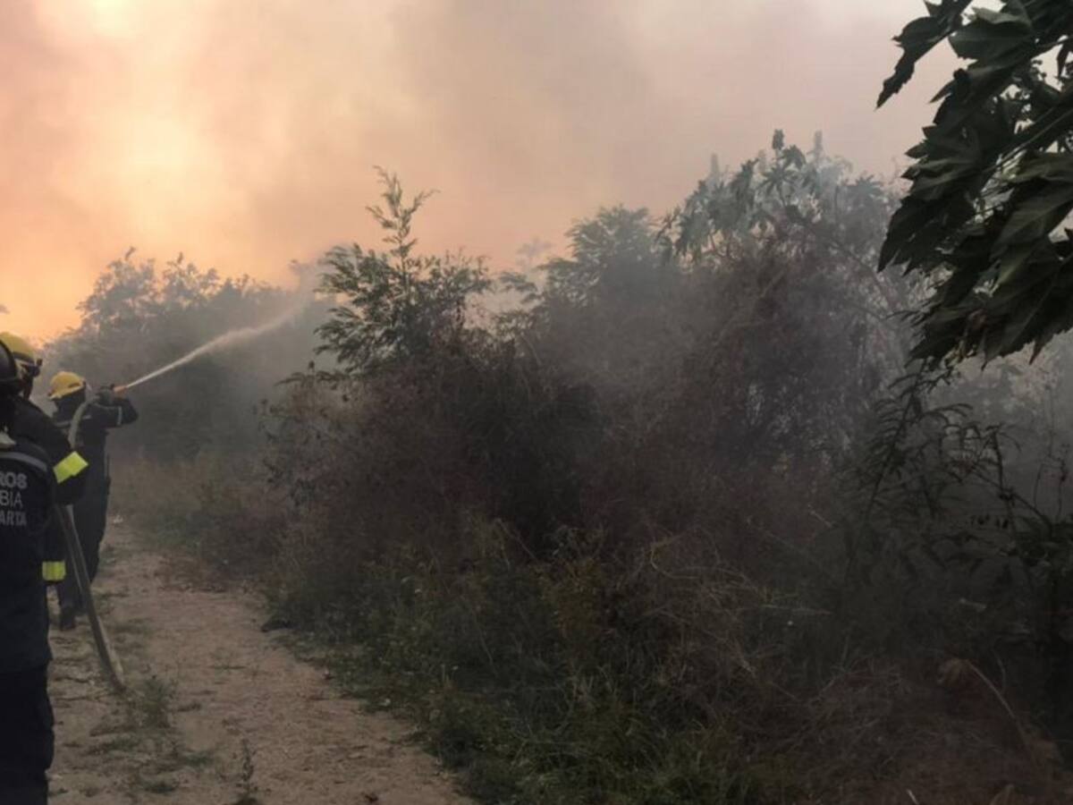 Pirómanos que provoquen incendios serán sancionados en Santa Marta