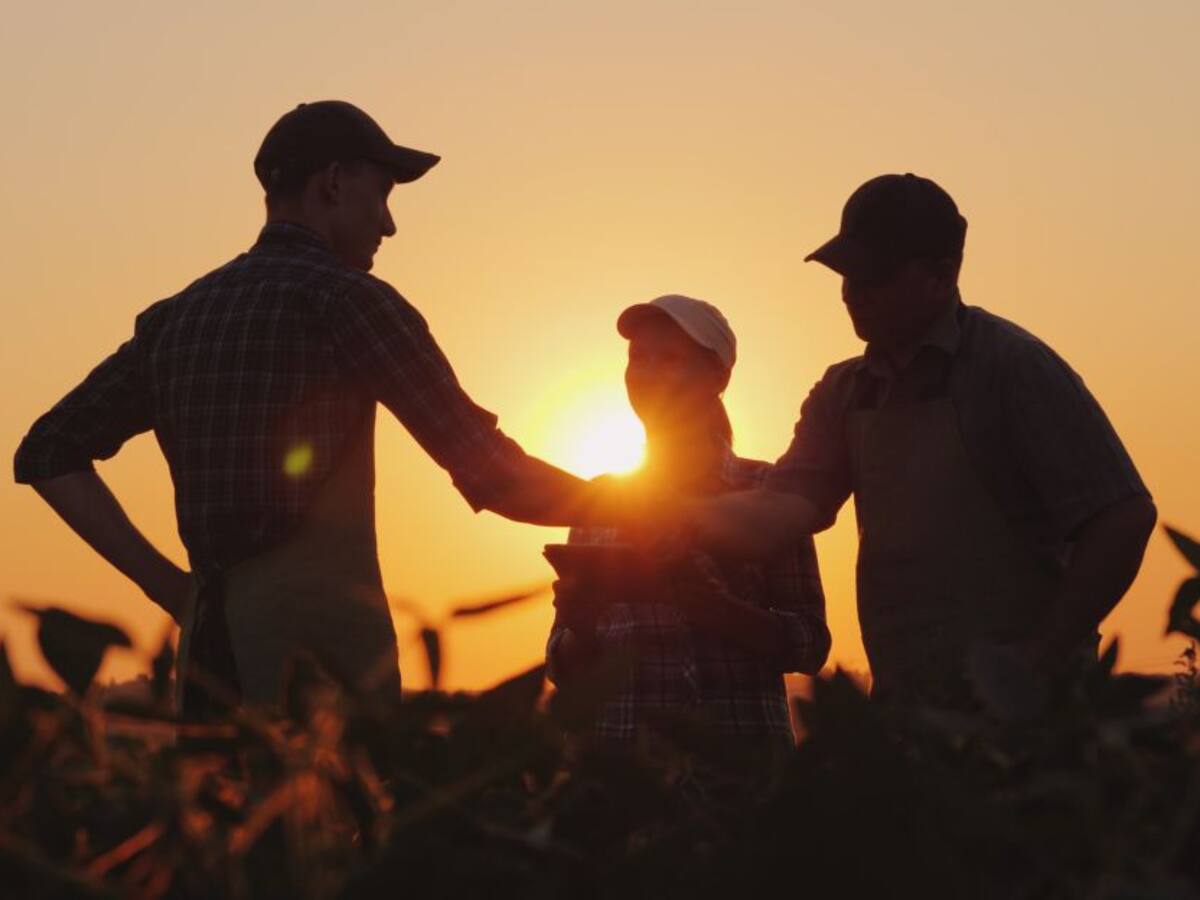 Innpulsa fomenta innovación agraria en zonas de conflicto