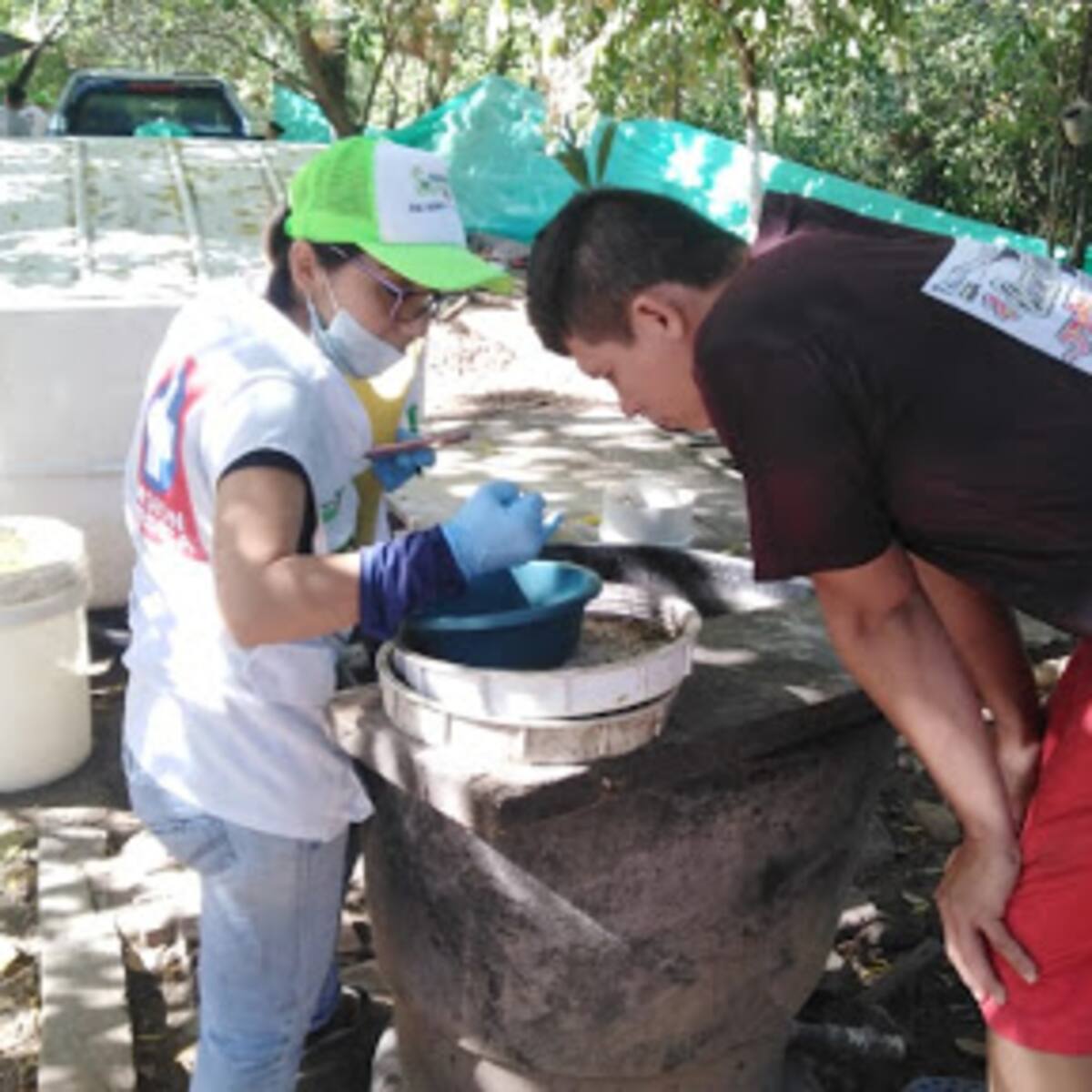 Colegio Médico del Huila hace un llamado a prevenir el Dengue