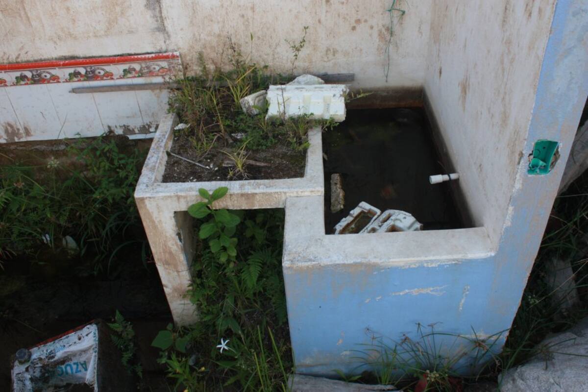 Tienen un sistema de alarma que se alimenta de gritos y que a veces intercalan con improvisados karaokes.