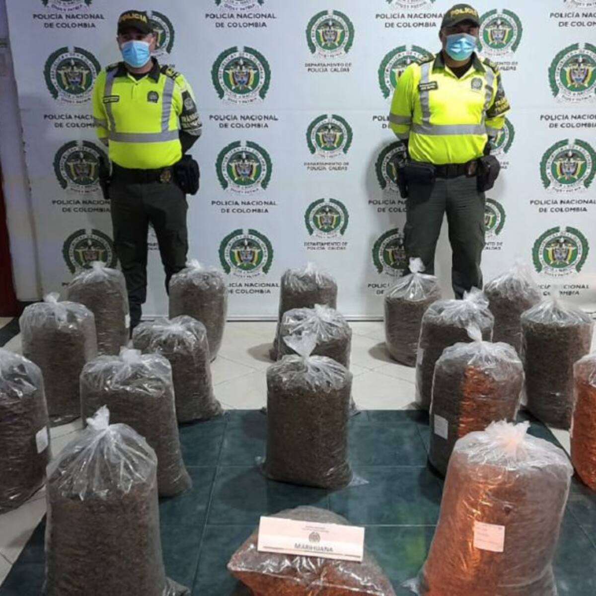 En Tarapacá incautan 'narco encomienda' de marihuana