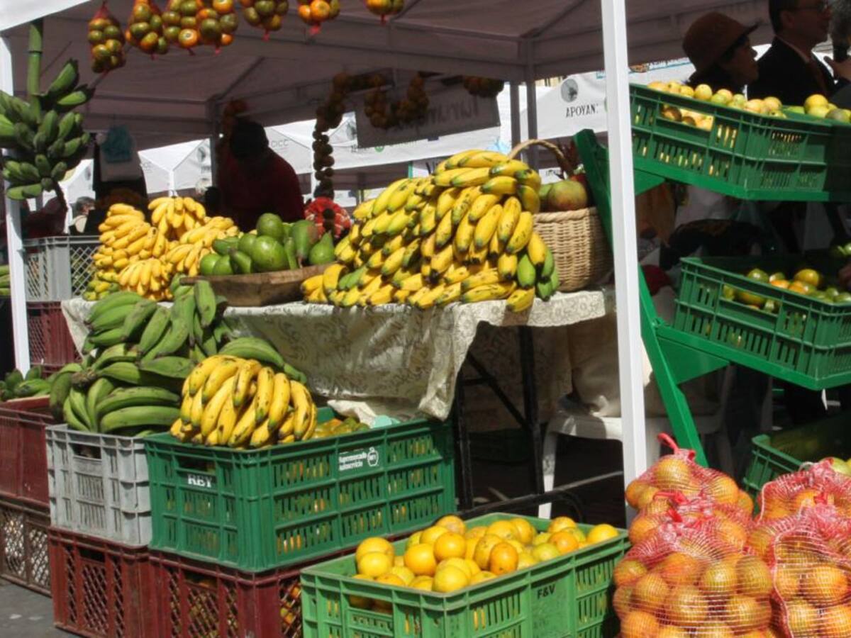 Reactivan los mercados campesinos en Cúcuta