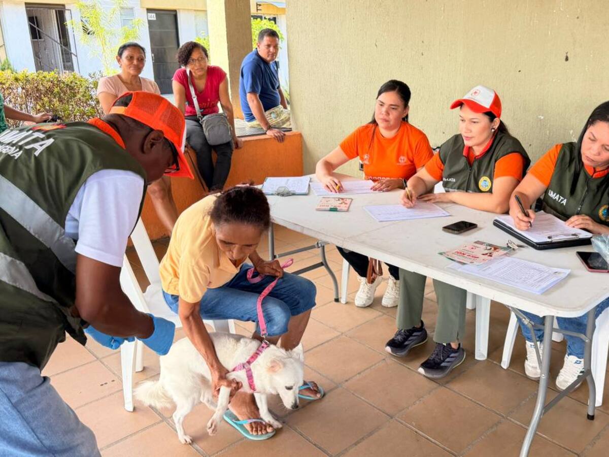 ¿Busca esterilizar a su mascota gratis? Alcaldía de Cartagena abre nuevas jornadas con la Umata