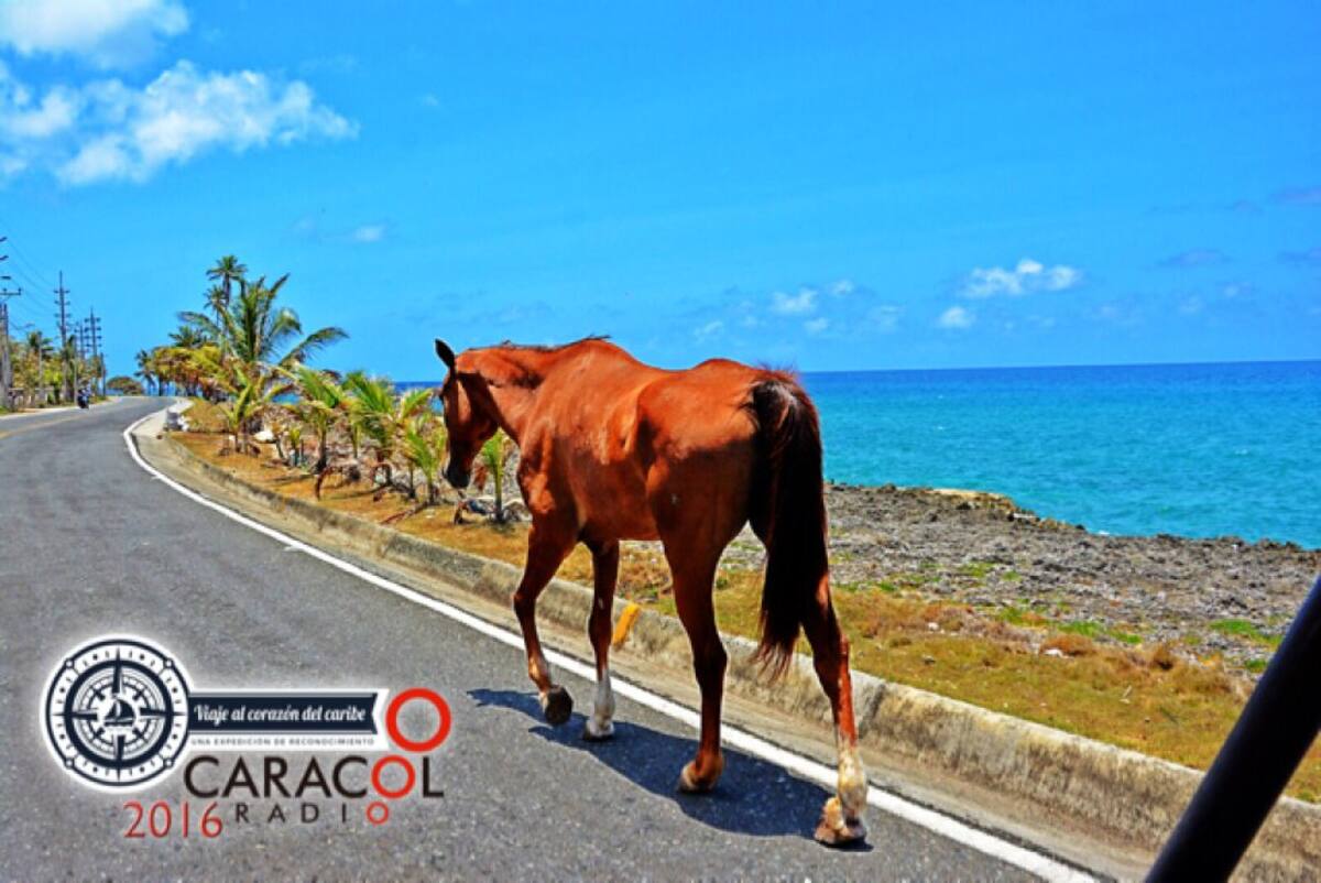 La tranquilidad y belleza de San Andrés en Viaje al Corazón del Caribe 