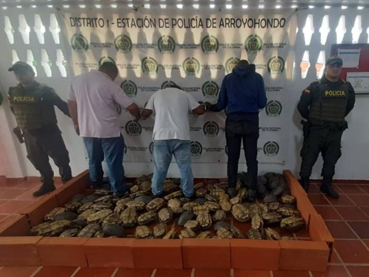 31 capturados en operativos de la Policía contra la caza de hicoteas en Bolívar