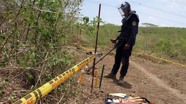 Desminado humanitario que adelanta el Ministerio de Defensa. Foto: Colprensa.