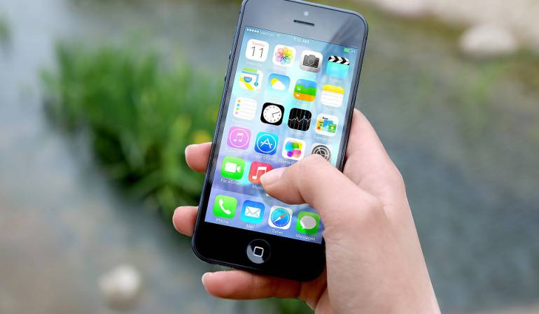 Imagen de referencia