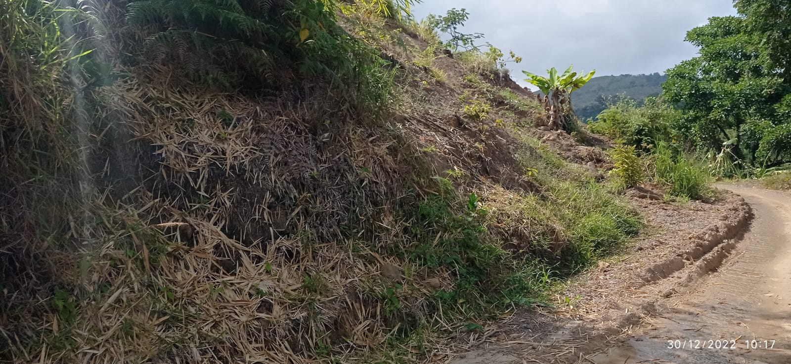 Zona rural de Tello, Huila afectada por invierno