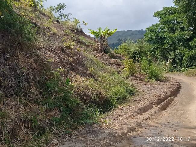 Zona rural de Tello, Huila afectada por invierno