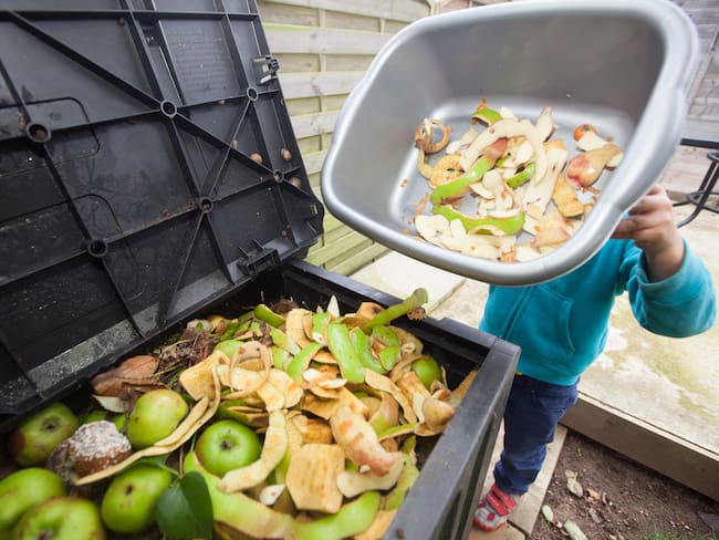 Cómo evitar que parte de los alimentos terminen en los desechos