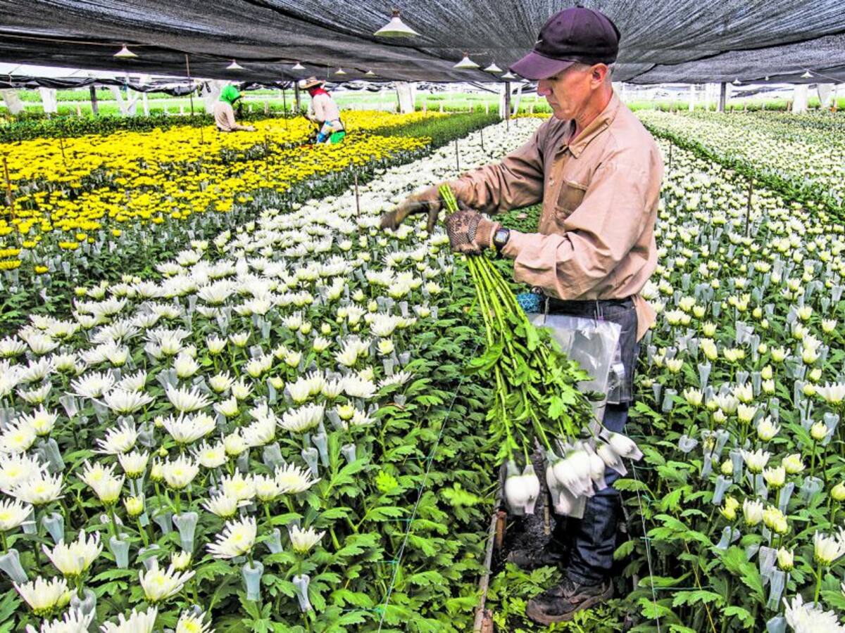 Sector productivo pide a la JEP que lo reconozca como víctima del conflicto