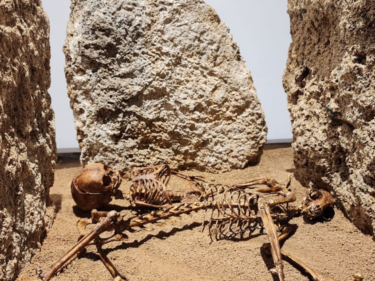 Dabeiba cuenta con museo que alberga 2.600 años de historia