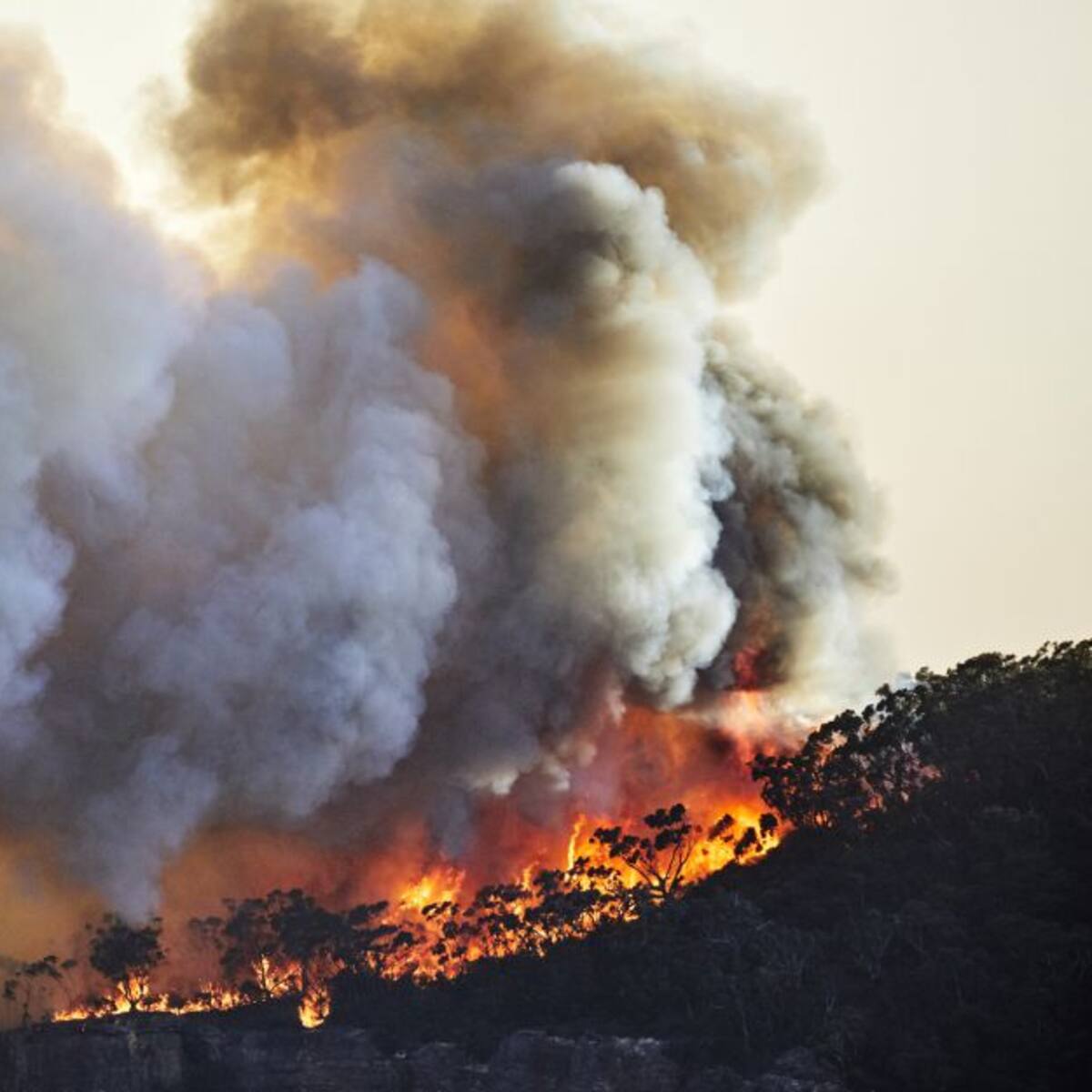 Incendio en Meta genera preocupación por acercamiento a reserva natural