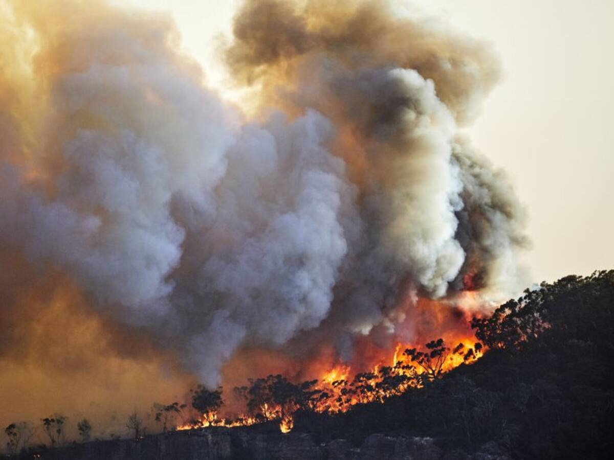 Incendio en Meta genera preocupación por acercamiento a reserva natural