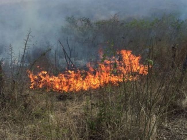 Piden a la comunidad uso racional del agua para contrarrestar sequías