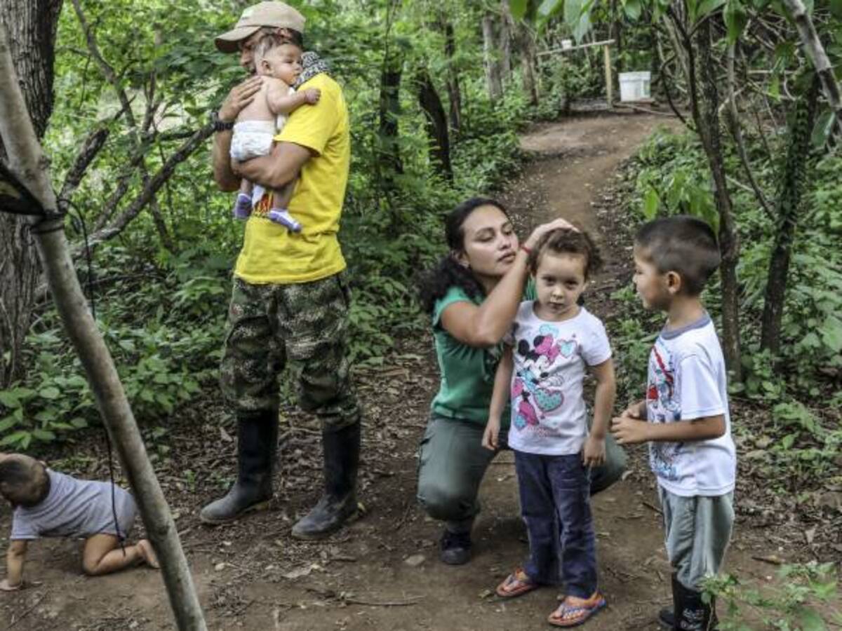 “Las Farc entregarán cerca de 50 menores de edad que están en las zonas”: Mininterior