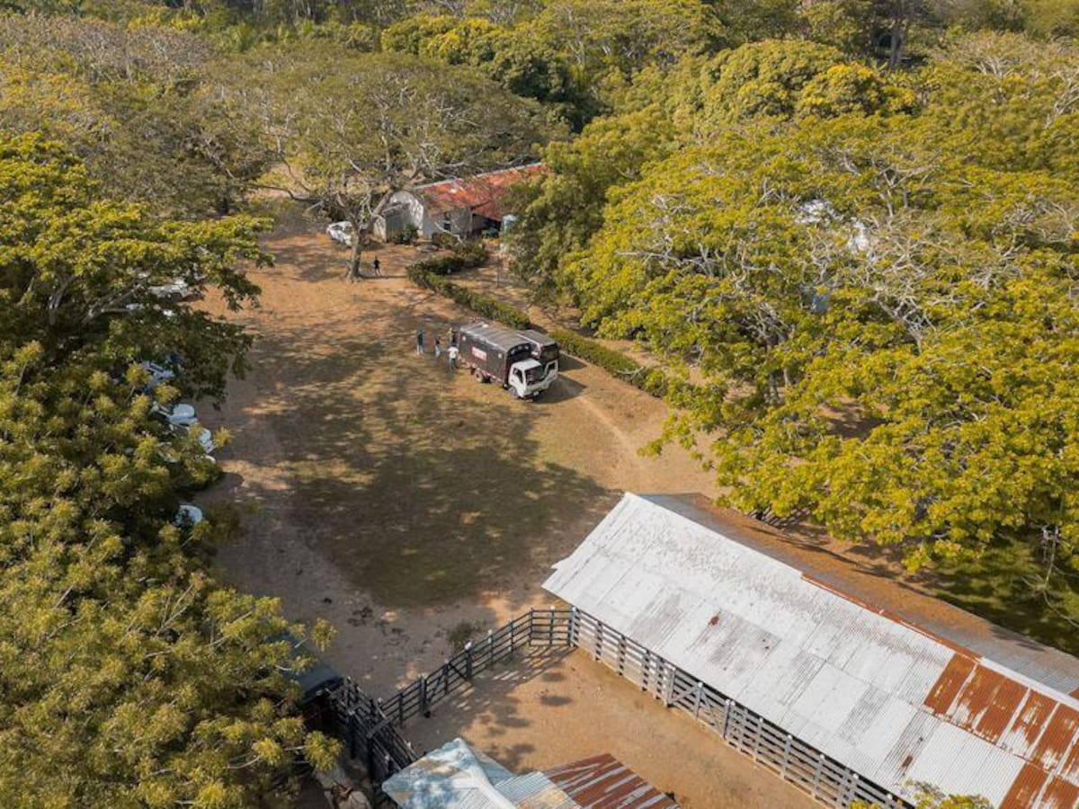 ANT recupera 183 hectáreas ligadas a redes de “Don Mario” y “Fritanga” en la Ciénaga de Corralito