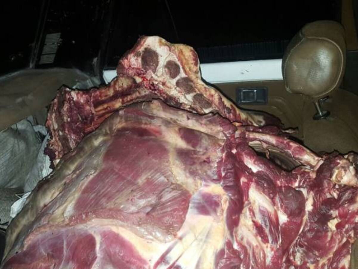 Ganaderos en alerta por contrabando de carne y ganado de Venezuela