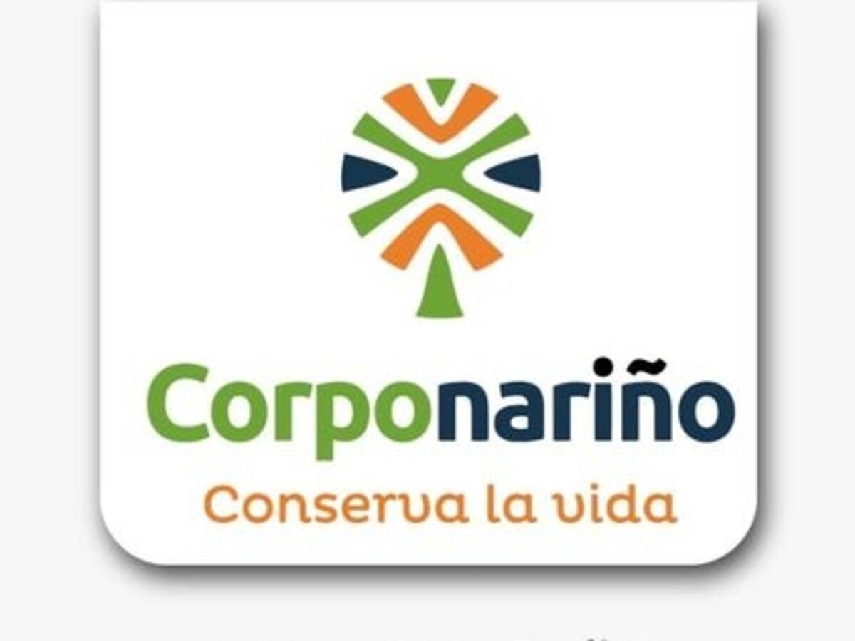 Consejo directivo de Corponariño deberá convocar a elección de director