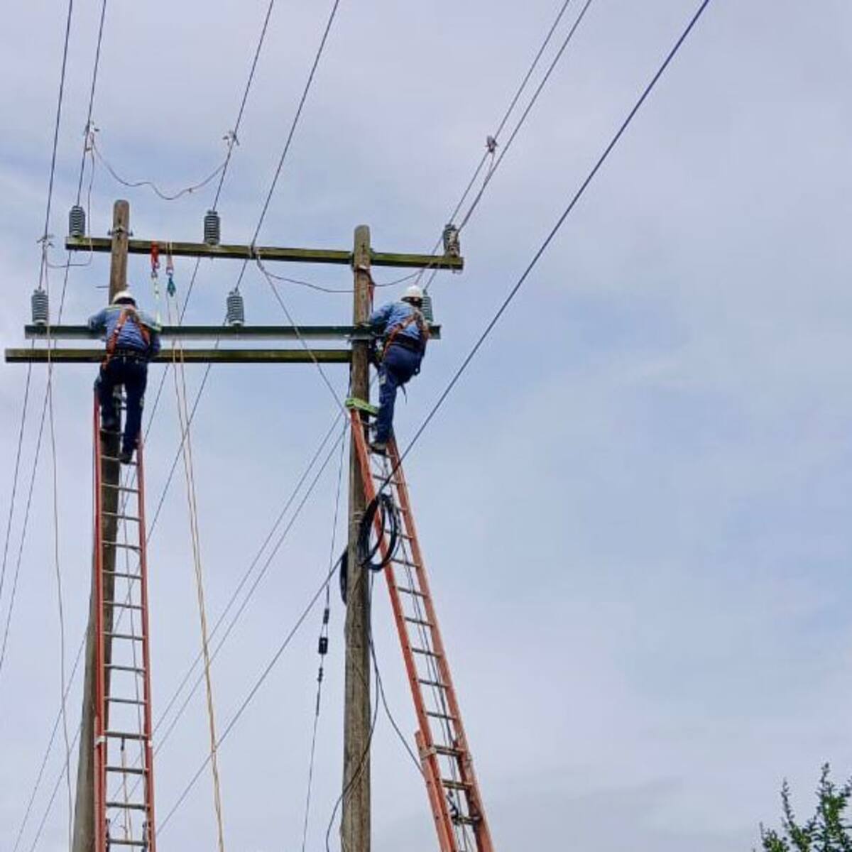 ¿Habrá cortes de luz en tu zona? Afinia programa mantenimiento en Córdoba del 24 al 27 de julio