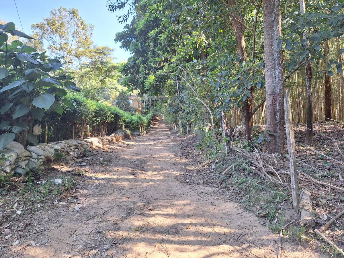 “Cerros nororientales de Floridablanca están siendo deforestados”: Comunidad