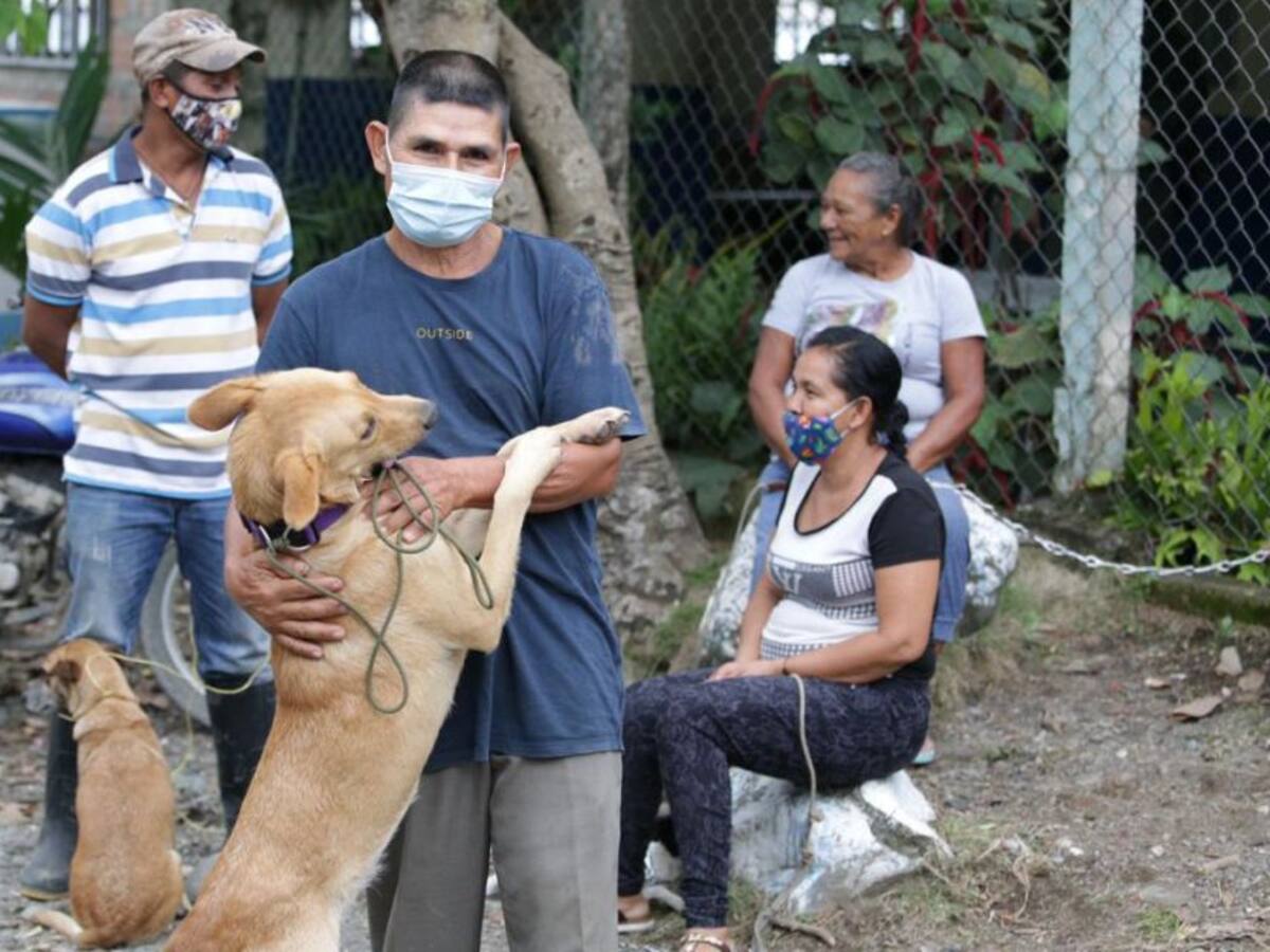 En Antioquia ayudaron a más de 200 animales afectados por las lluvias