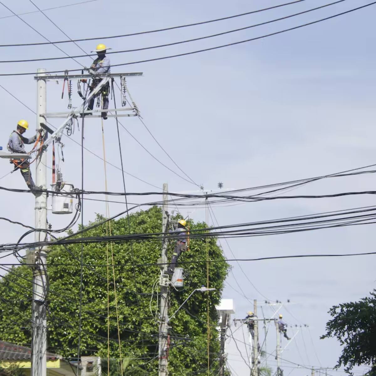 Cortes de energía por trabajos de Afinia en Bolívar hasta el 28 de diciembre