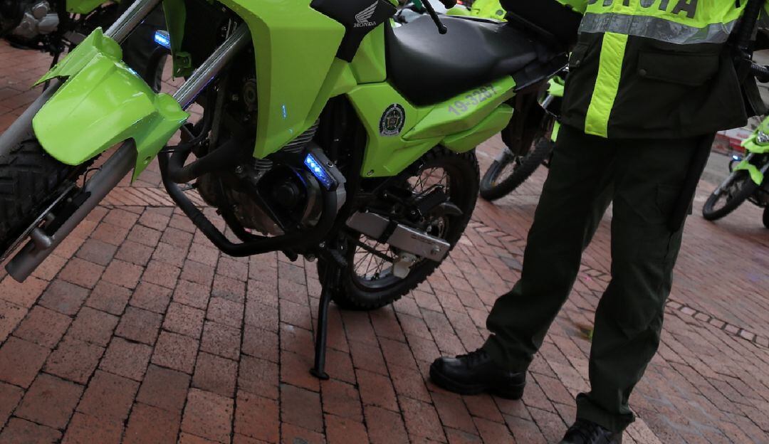 Imagen de referencia