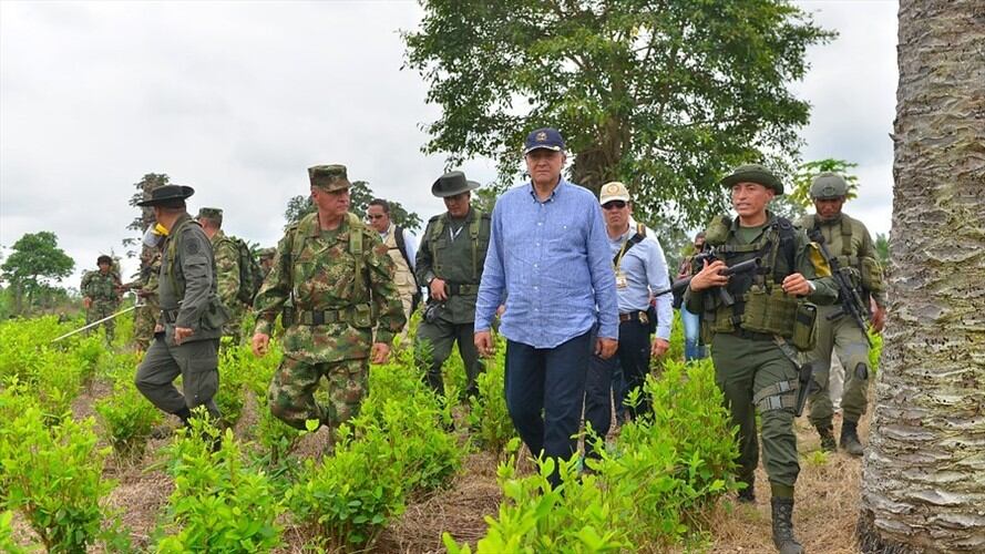 Óscar Naranjo insistió en que es necesario adelantar el programa de sustitución de cultivos. Foto: Colprensa