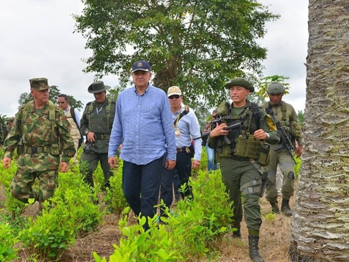Intervenir Tumaco implica aplicar un plan integral: Óscar Naranjo