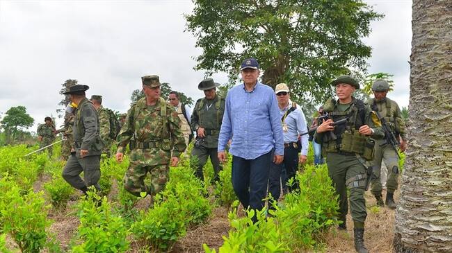 Óscar Naranjo insistió en que es necesario adelantar el programa de sustitución de cultivos. Foto: Colprensa