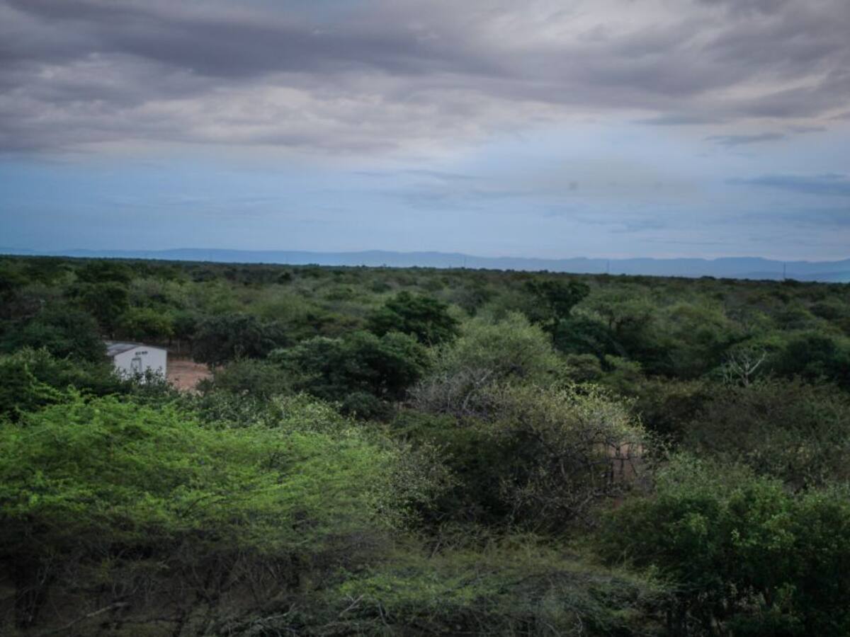 Una joven wayuu que protege el medio ambiente de la Guajira