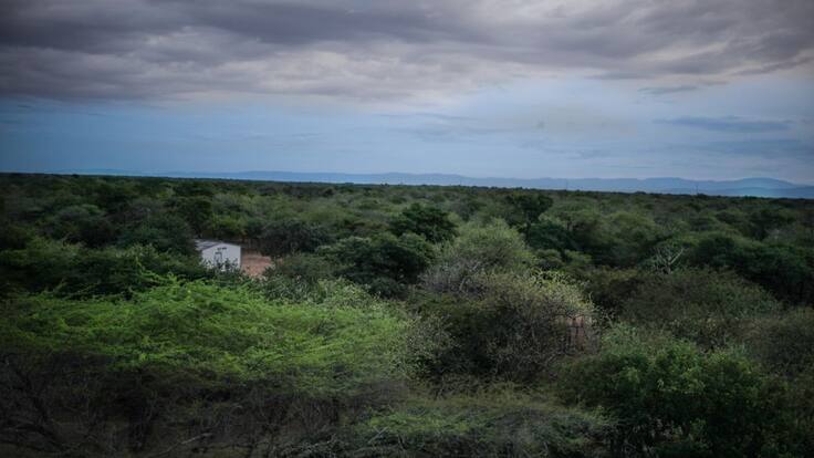 Una joven wayuu que protege el medio ambiente de la Guajira