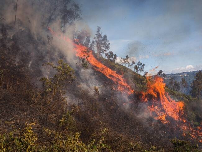 Cortesía Alcadía de Medellín