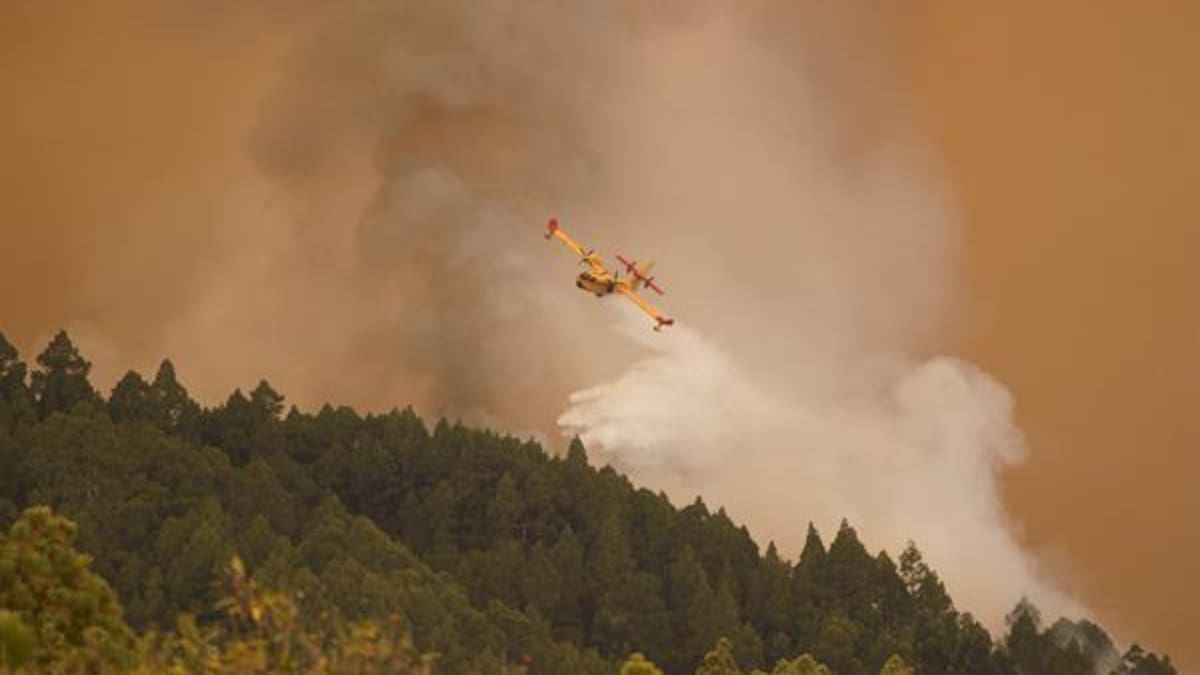 Incendio en Tenerife, España: 3.000 personas evacuadas y más de 3.500 hectáreas quemadas