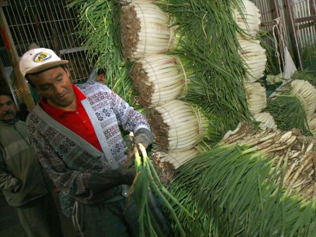 Más de 5 mil cebolleros en crisis económica desde hace 3 meses en Boyacá