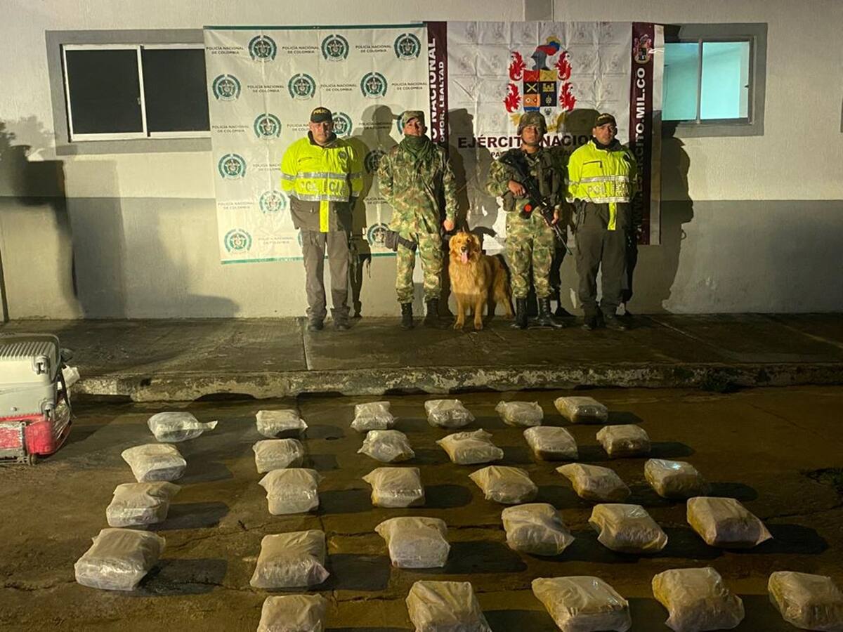 Incautan cargamento de marihuana en un bus intermunicipal en el Tolima