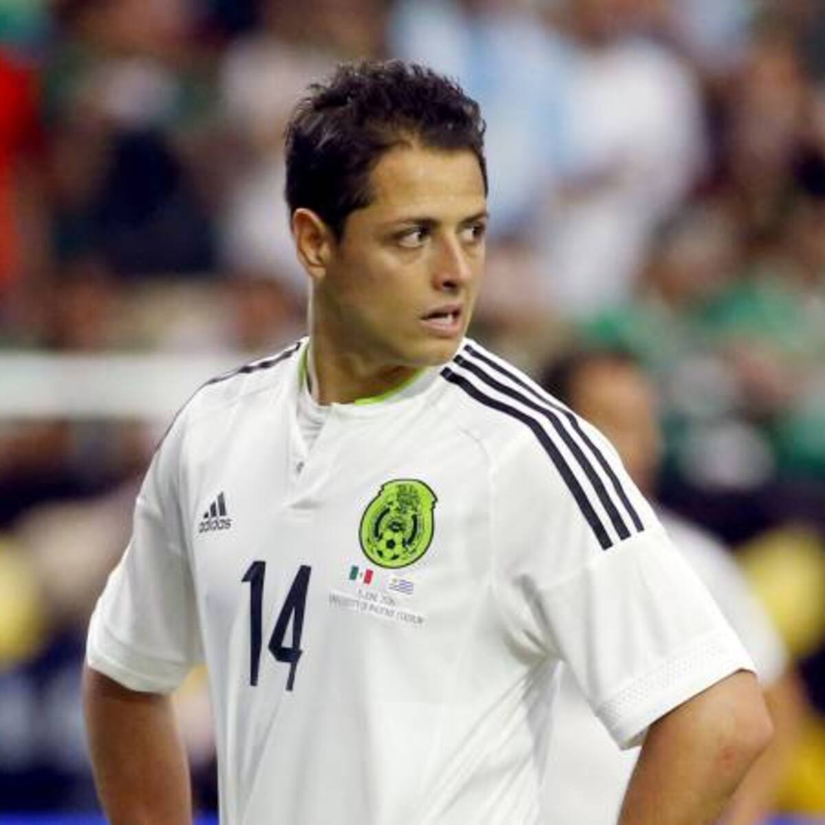 Chicharito y Lucía Villalón se casarán el próximo verano