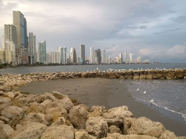 Alcalde William Dau contempla reabrir playas de Cartagena