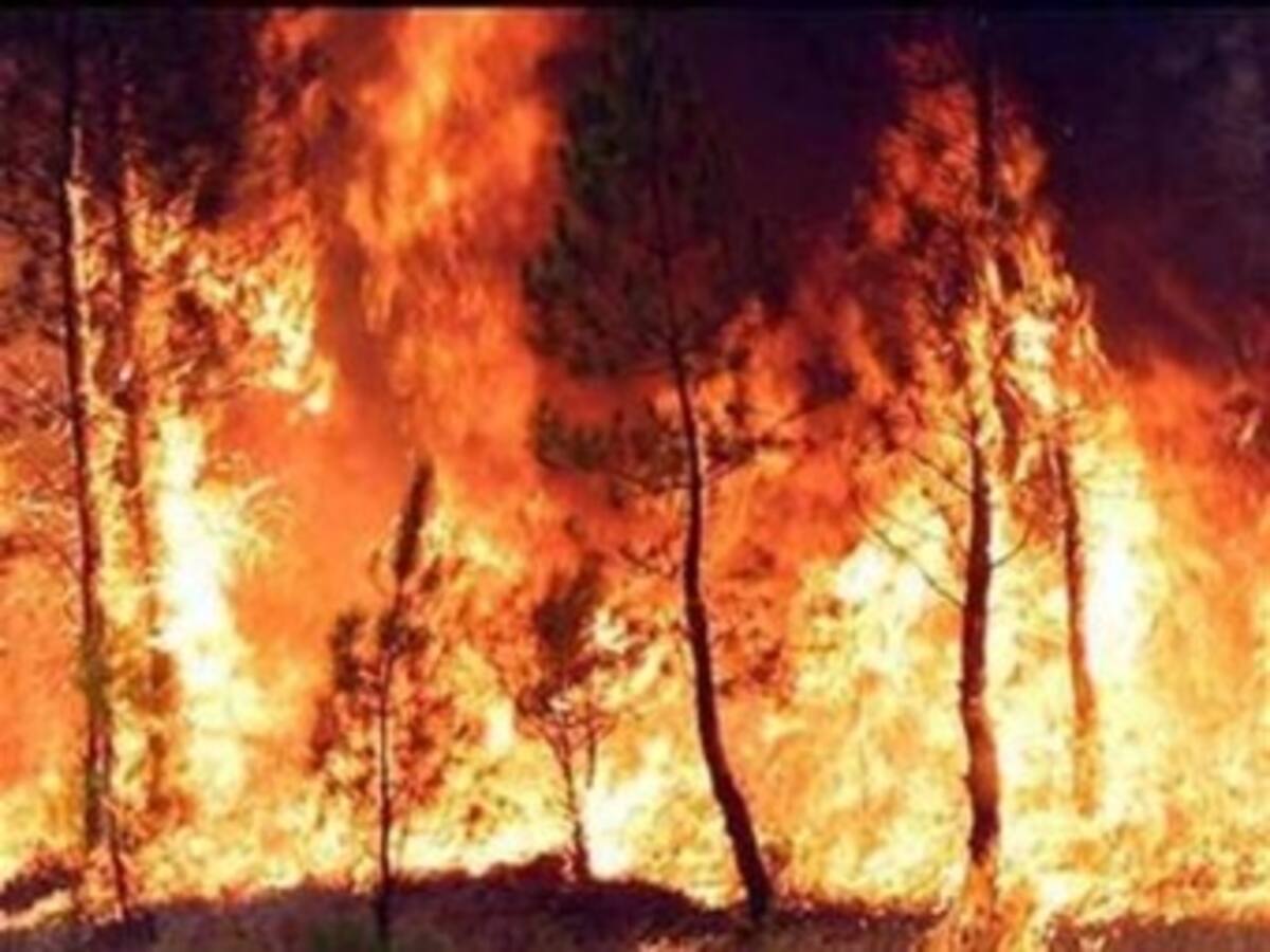 Arden unas 100 hectáreas de bosque en el sur de Ecuador