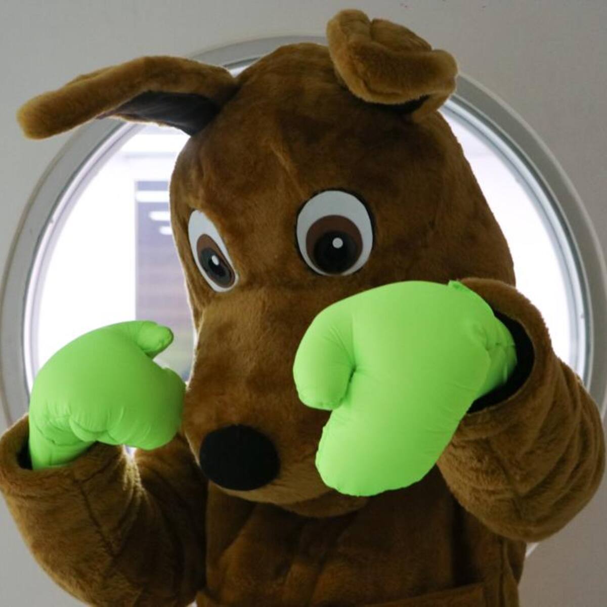 Conozca al “Happy Lara”; la mascota del candidato a la Alcaldía de Bogotá, Rodrigo Lara