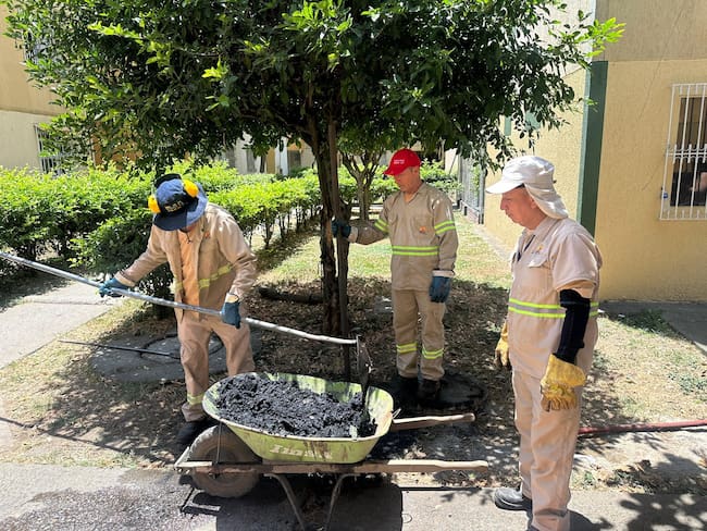 Emcali - mantenimiento