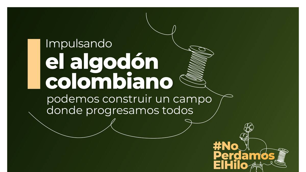 Bajar aranceles de hilos: la nueva plaga para el resurgimiento del algodón