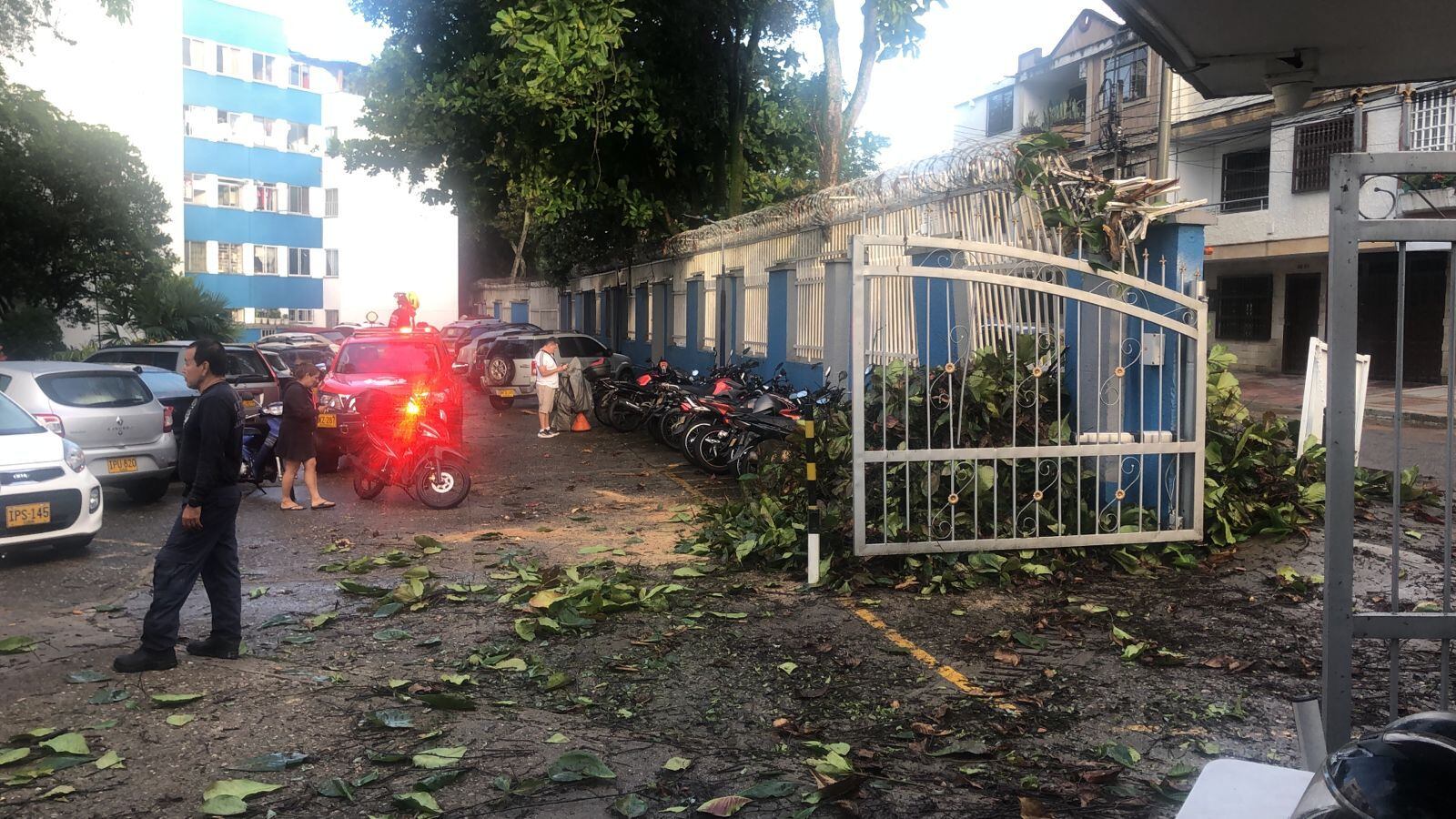 Caída de árbol en Real de Minas