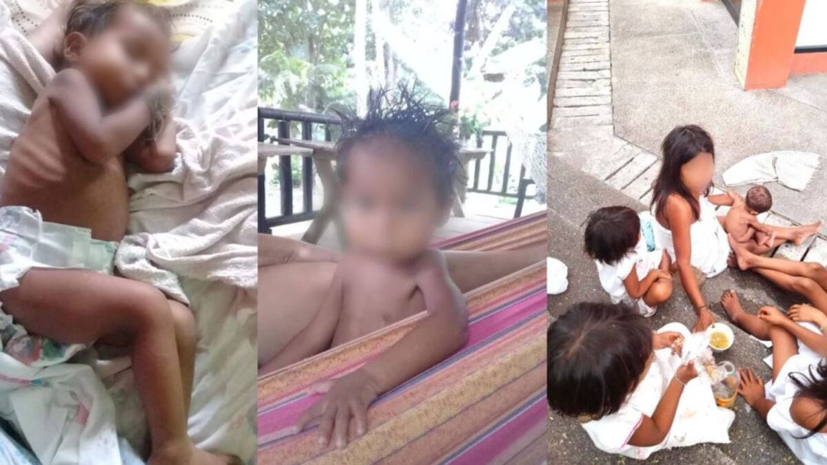 Madres indígenas de la Sierra Nevada están regalando sus hijos