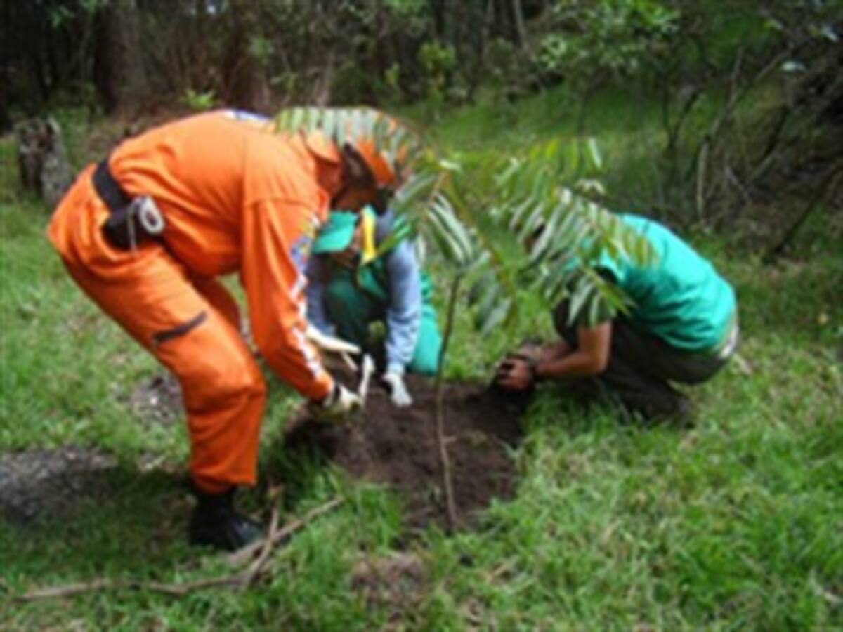 Secretaría de Ambiente celebró Día Mundial de la Tierra