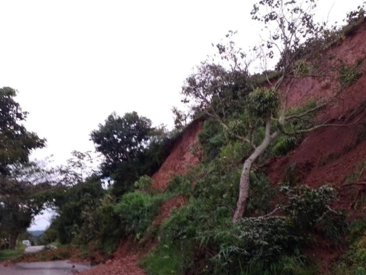Dos menores murieron por un deslizamiento de tierra en Palocabildo