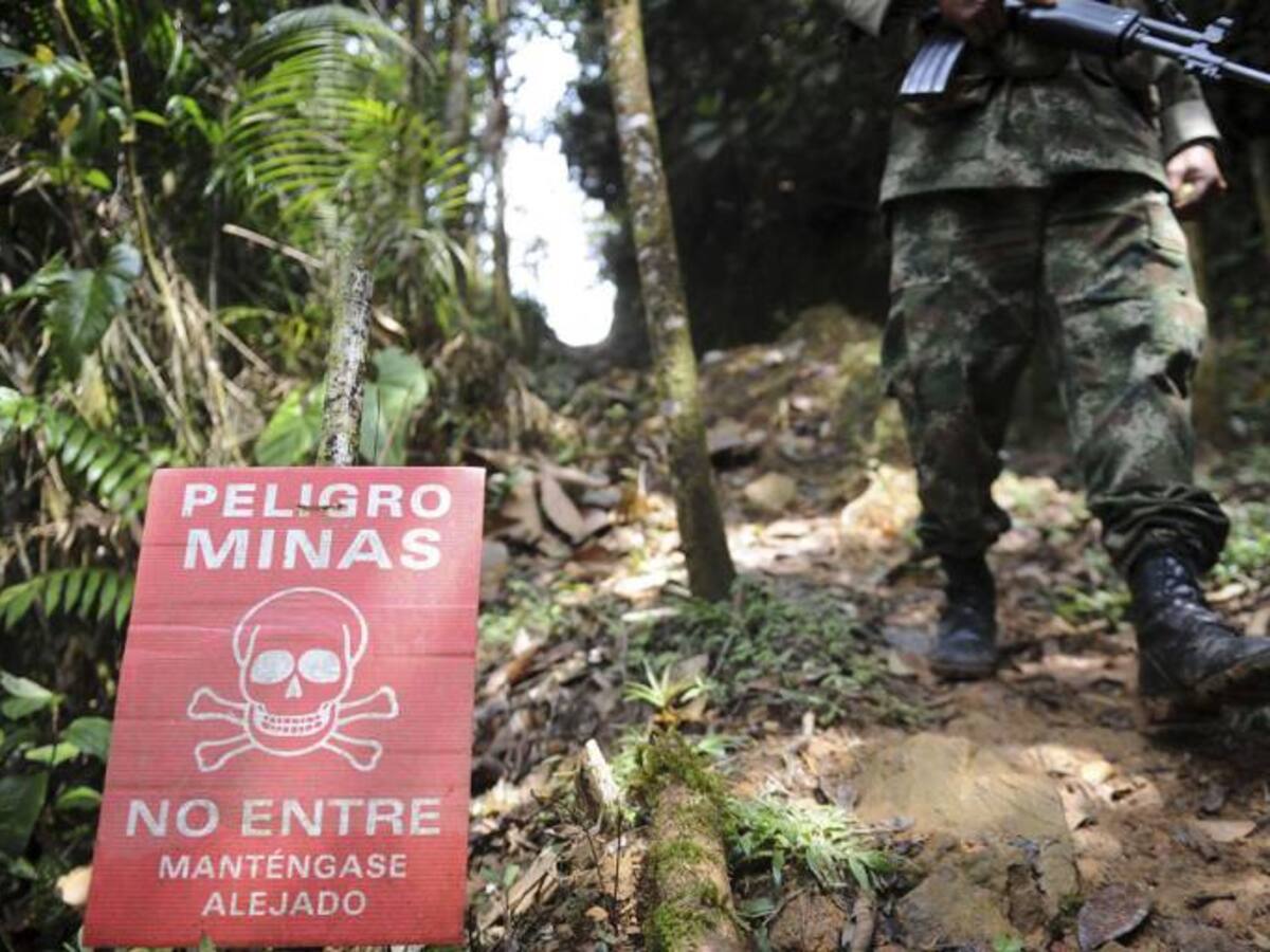 Llamado al Gobierno Nacional para desminar al Valle del Cauca
